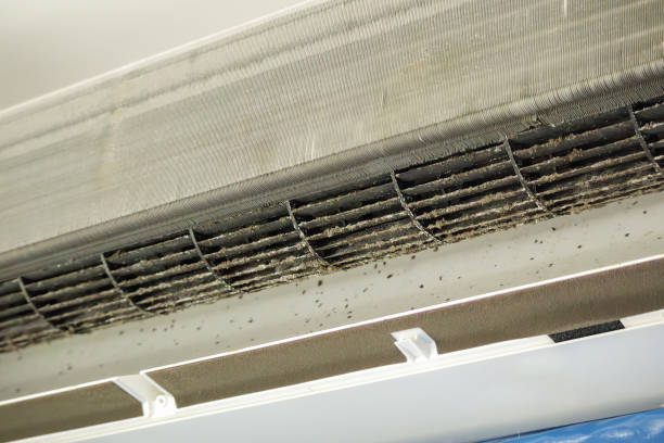 Best Professional Duct Cleaning Services  in Colorado City, TX